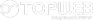 logo topweb sites